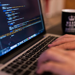 上个月爆了：蘑菇视频预算崩盘，不为人知的原因终于来了