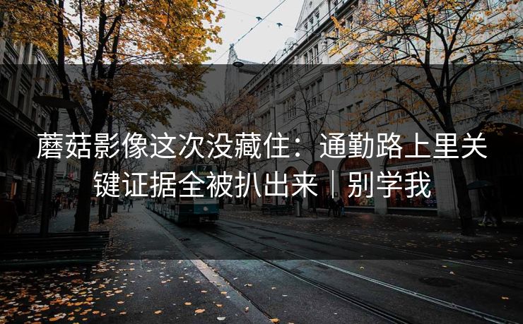 蘑菇影像这次没藏住：通勤路上里关键证据全被扒出来｜别学我